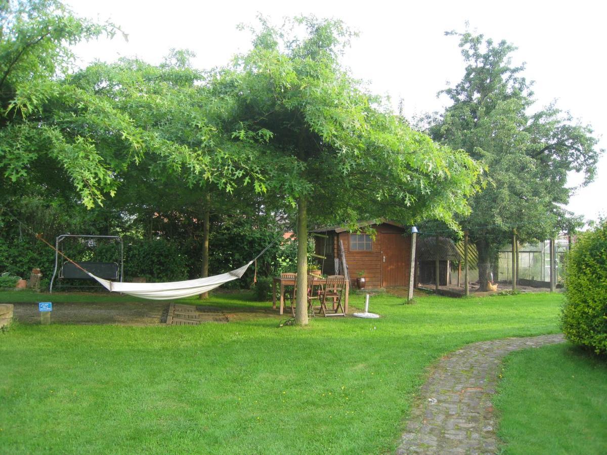 Vakantiehuis in de velden met zwemvijver en Jeu de Boules baan Lier Buitenkant foto